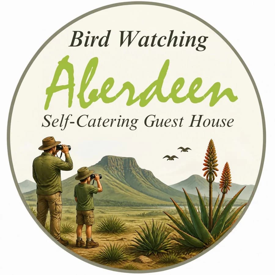 Bird Watching — Aberdeen Self Catering