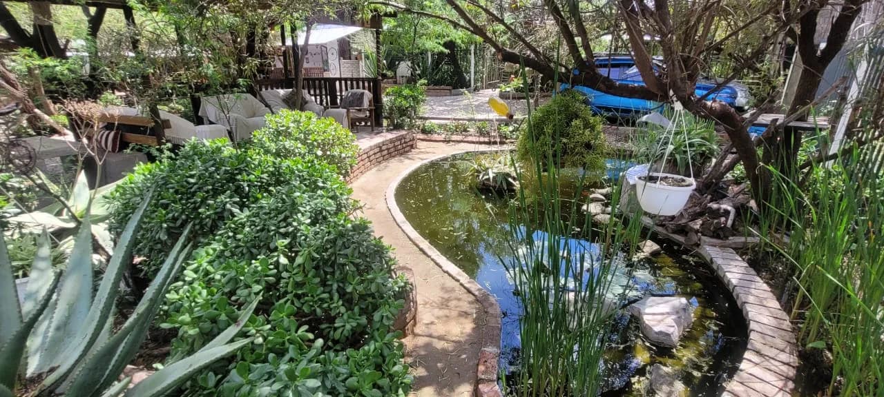 Fish pond surrounded by plants and garden seating